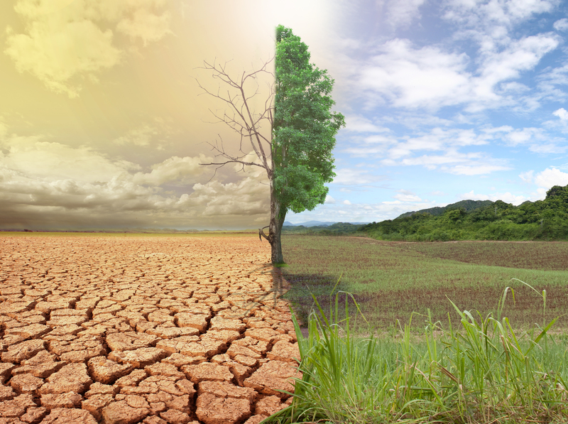 Practical Steps to Diminish Manufacturing Waste